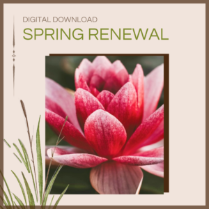 Spring Renewal Recording