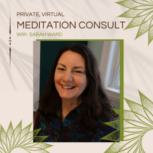 One-on-One Meditation Consultation
