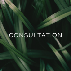 Consultation