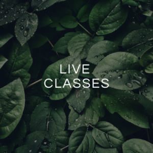 Live Classes